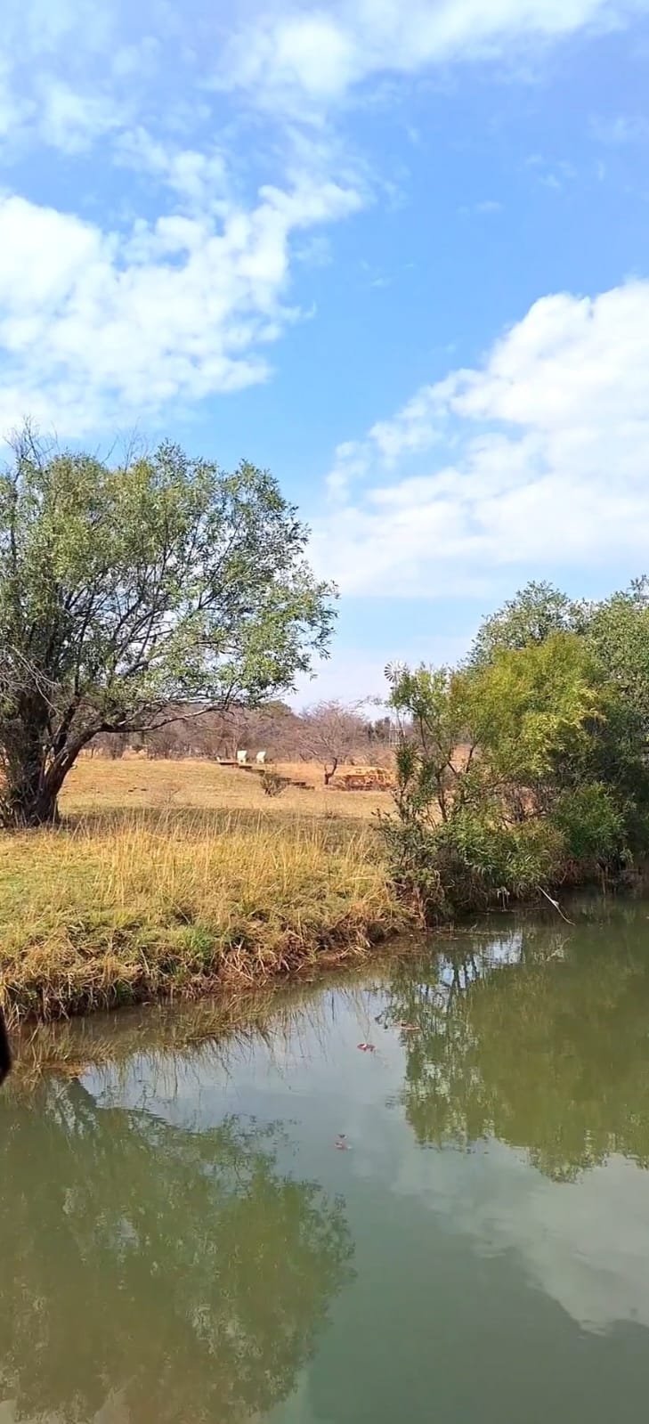 6 Bedroom Property for Sale in Koster North West